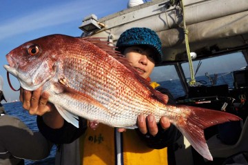 まずは琴ちゃん今年初マダイ・・・・2.18kg・・・！